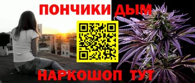 мдпв Бийск