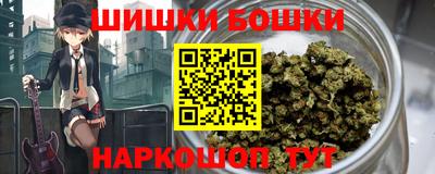 мдпв Бийск