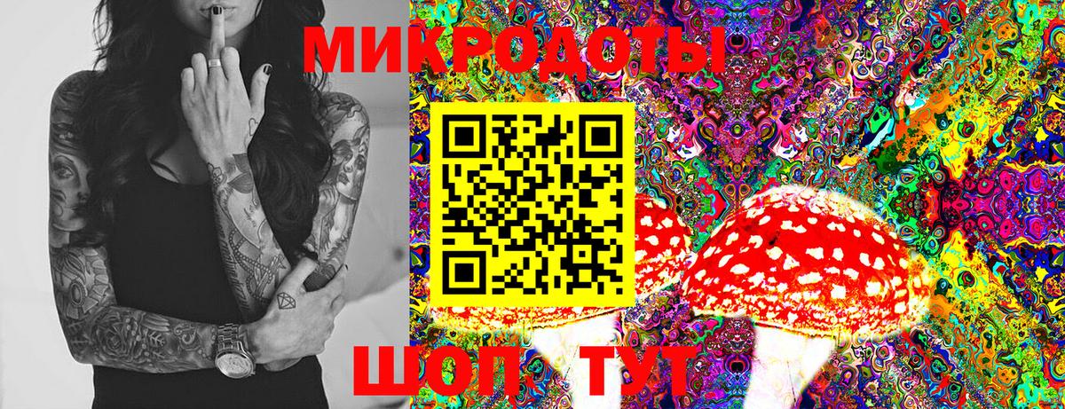 Псилоцибиновые грибы Cubensis Брянск