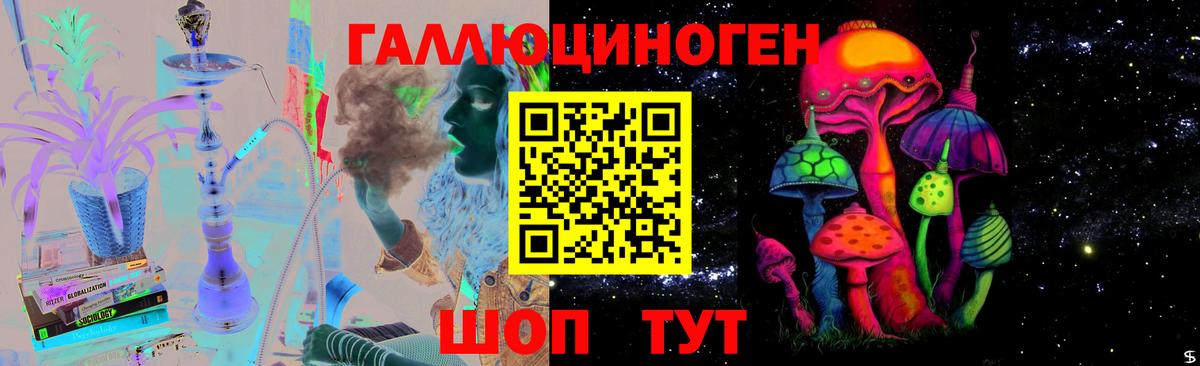 Галлюциногенные грибы мицелий  Вход с VPN  Брянск  цены   Галлюциногенные грибы GOLDEN TEACHER 